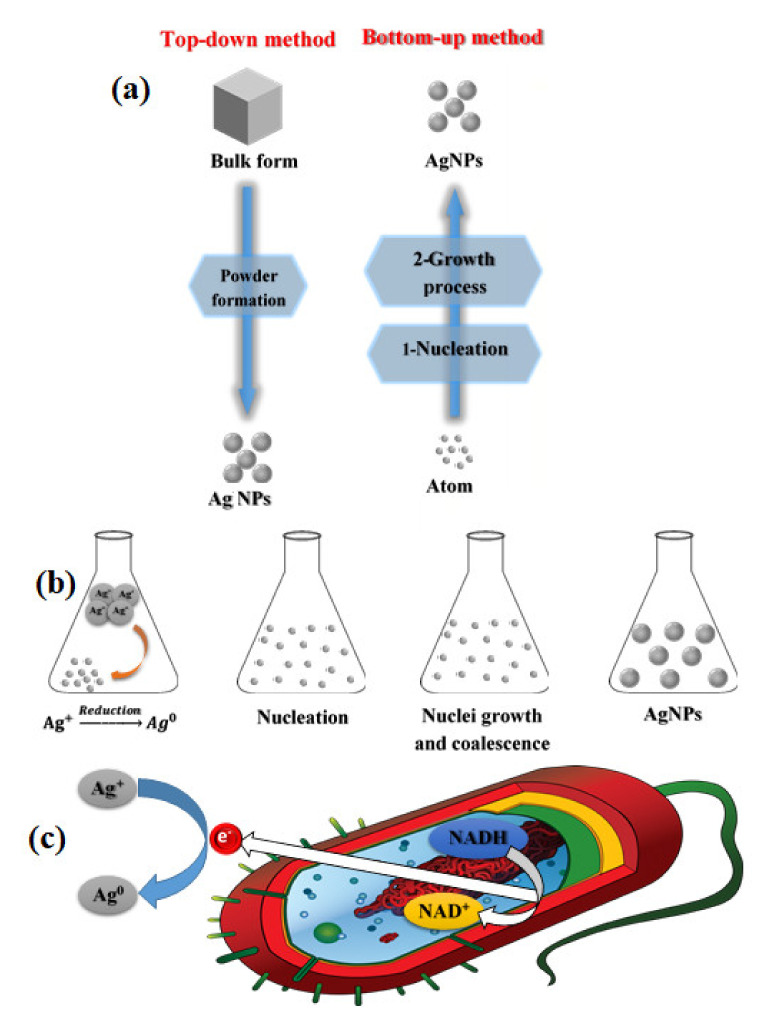 Figure 6