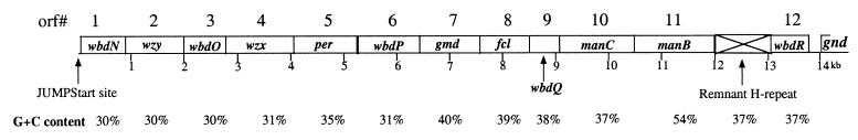 FIG. 1