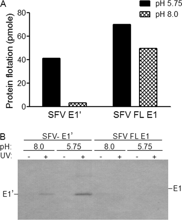 FIG. 5.