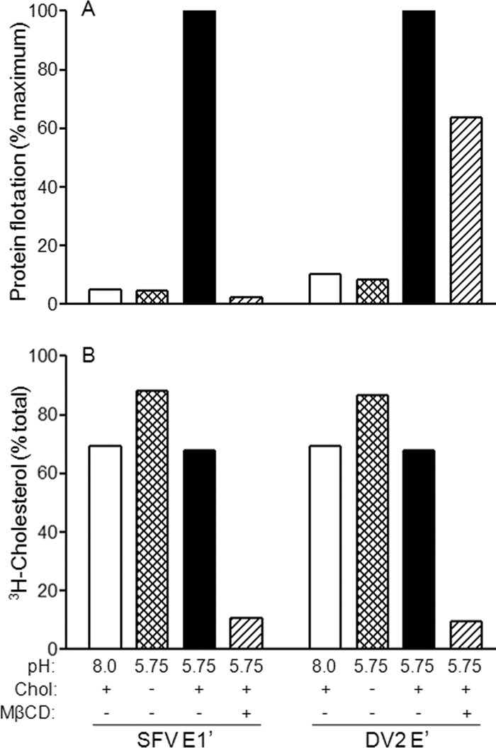 FIG. 6.