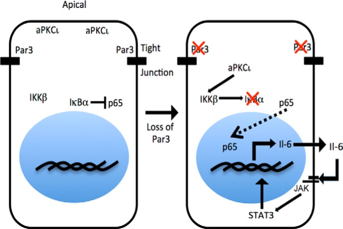 FIGURE 7.