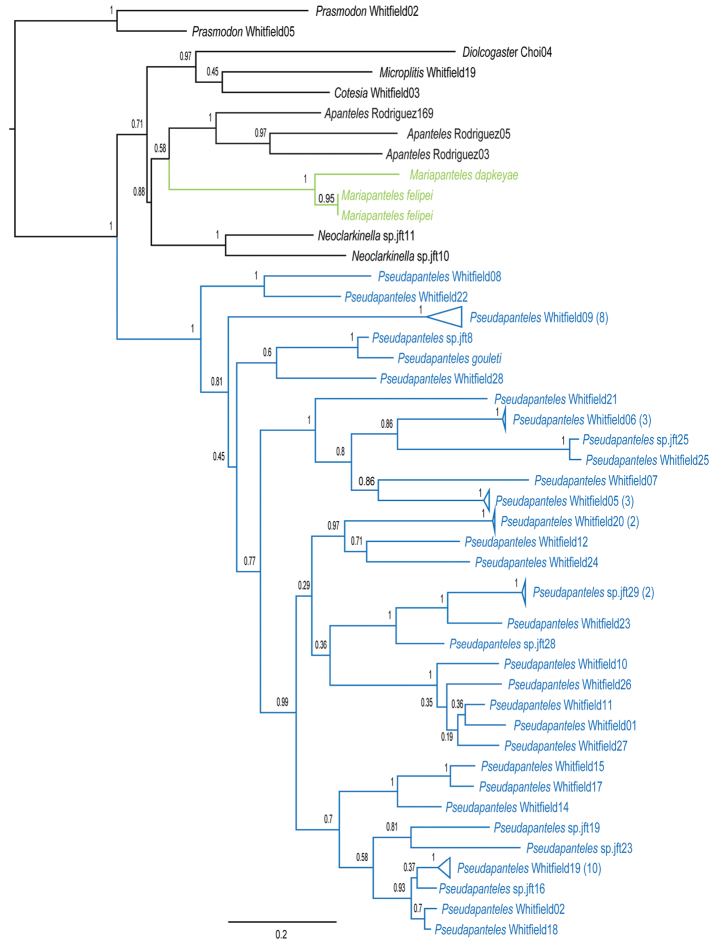 Figure 13.