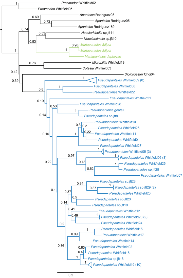 Figure 14.