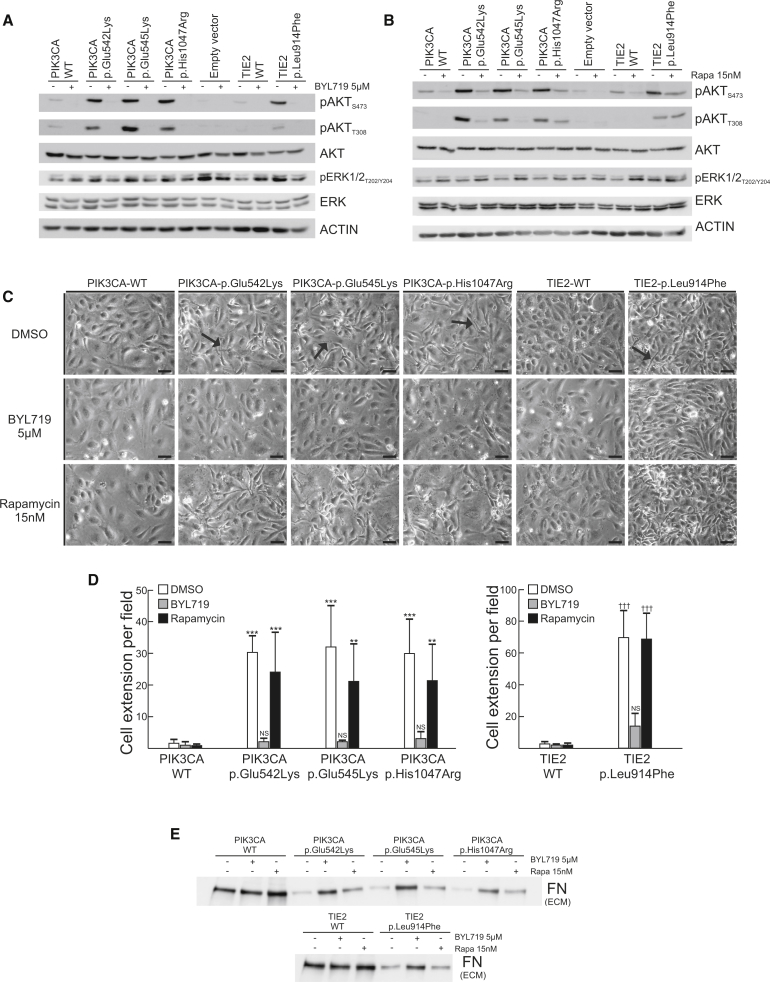 Figure 5