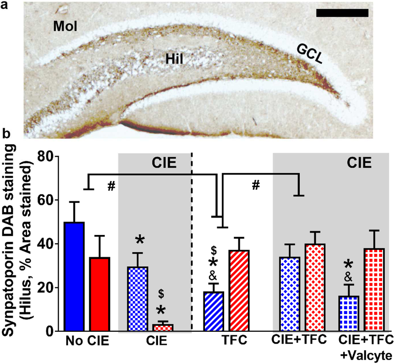 Figure 6: