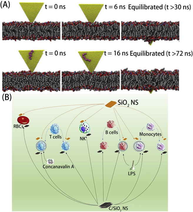 Figure 4