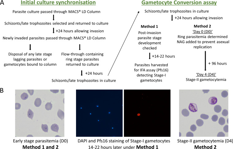 FIG 1