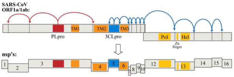 Fig. 1