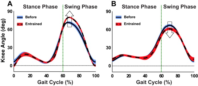 Fig. 9.