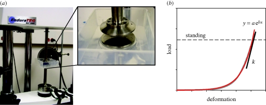 Figure 2.