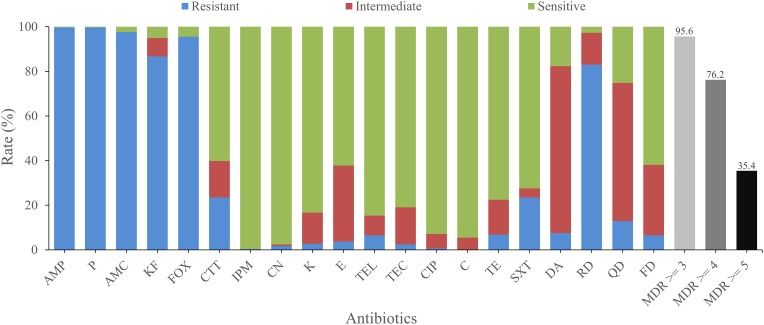 FIGURE 2