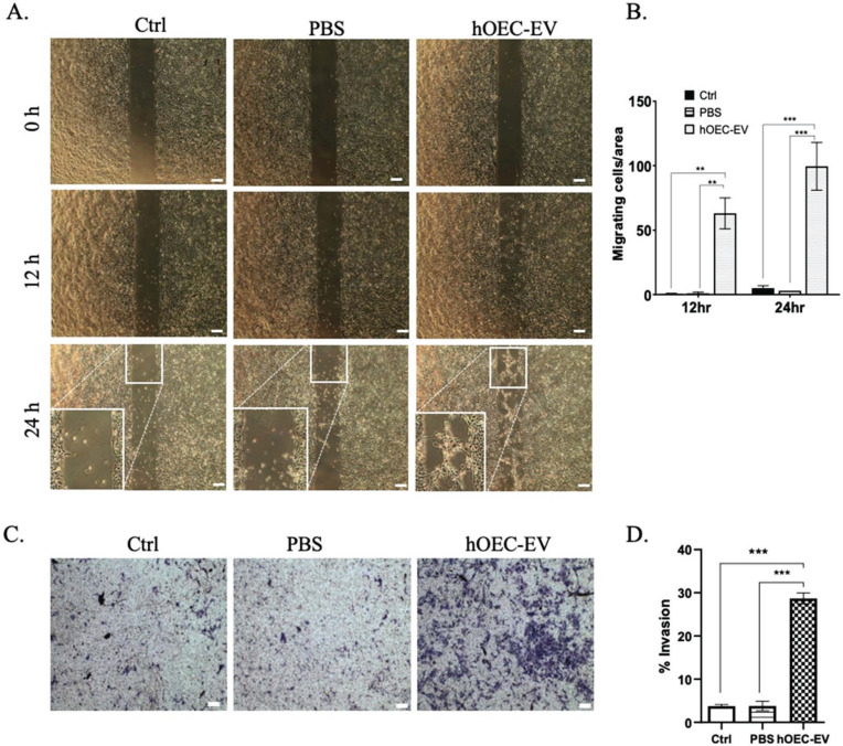 Fig. (5)