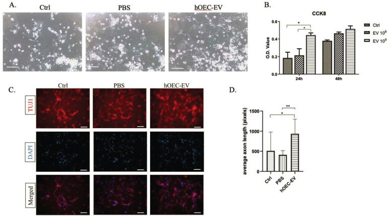 Fig. (3)