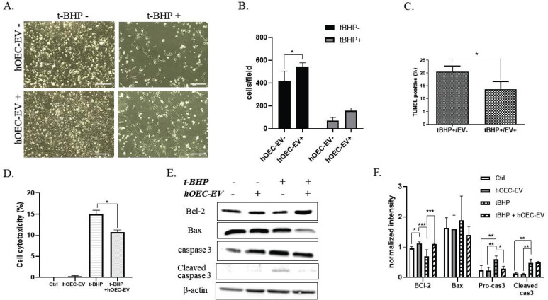 Fig. (4)