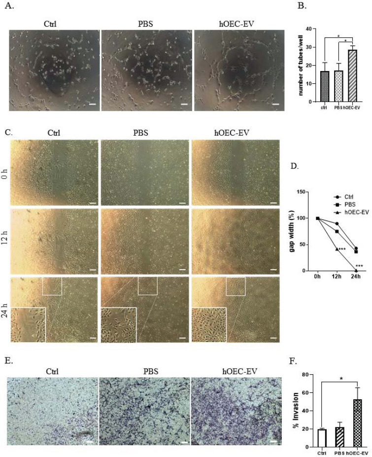 Fig. (6)