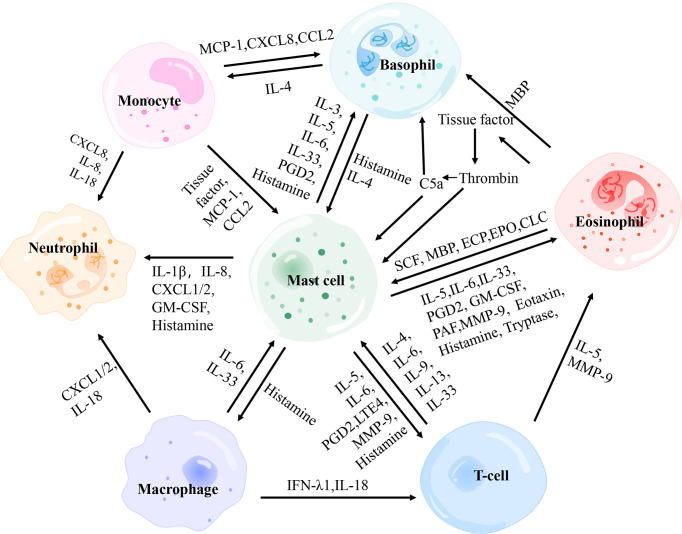 Figure 3