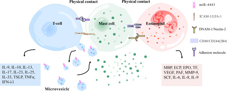 Figure 4