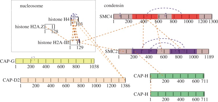 Figure 4.