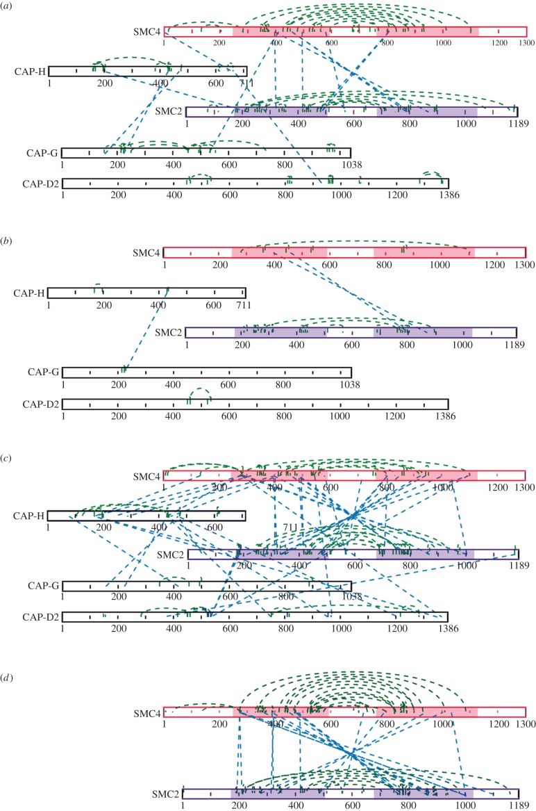 Figure 2.