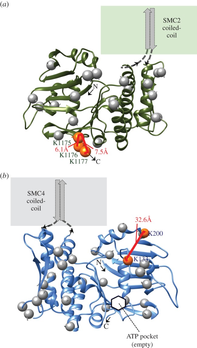 Figure 5.