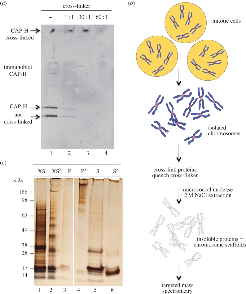 Figure 3.