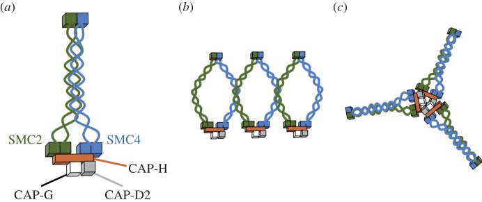 Figure 9.