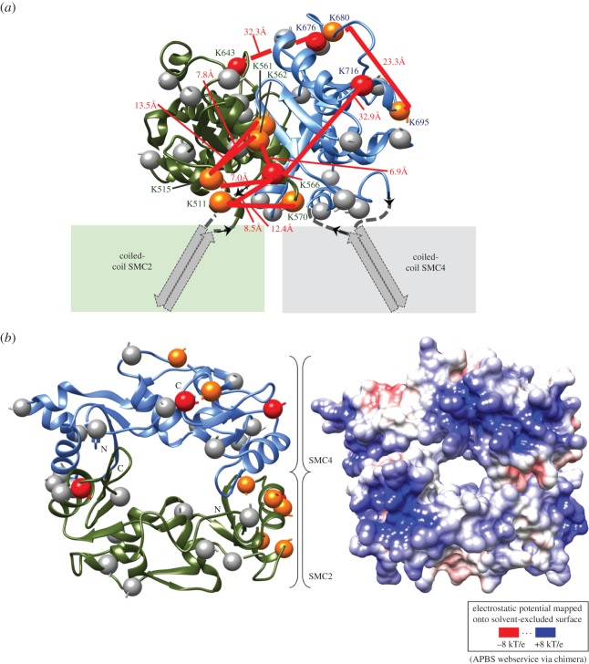 Figure 6.