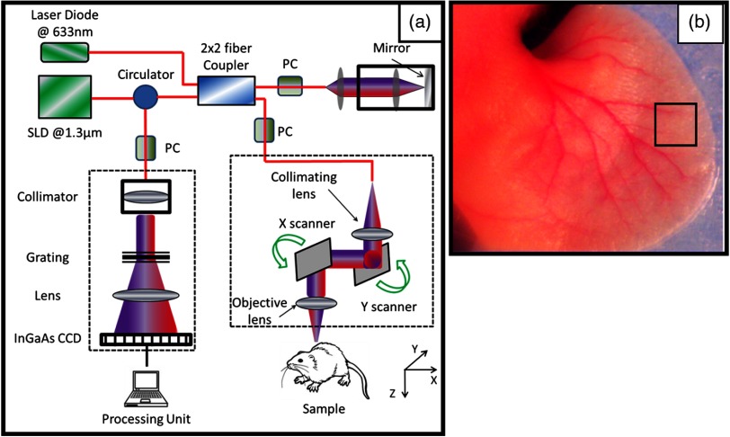 Fig. 2