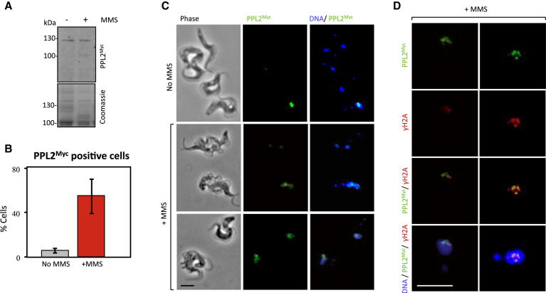 Figure 6