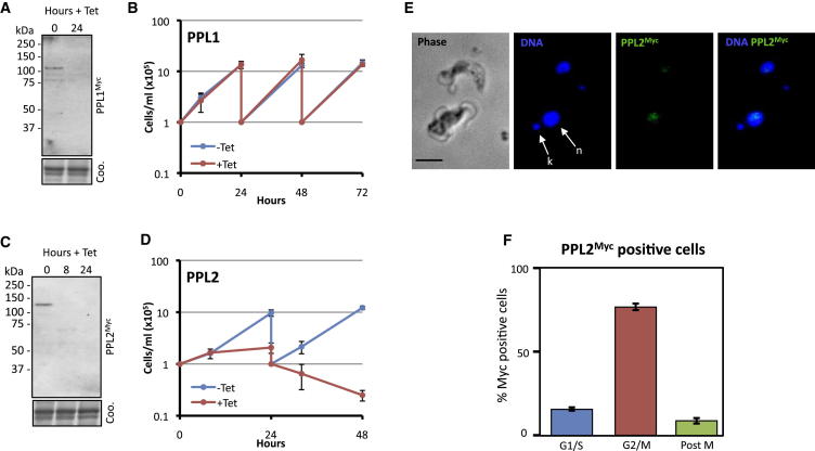 Figure 2