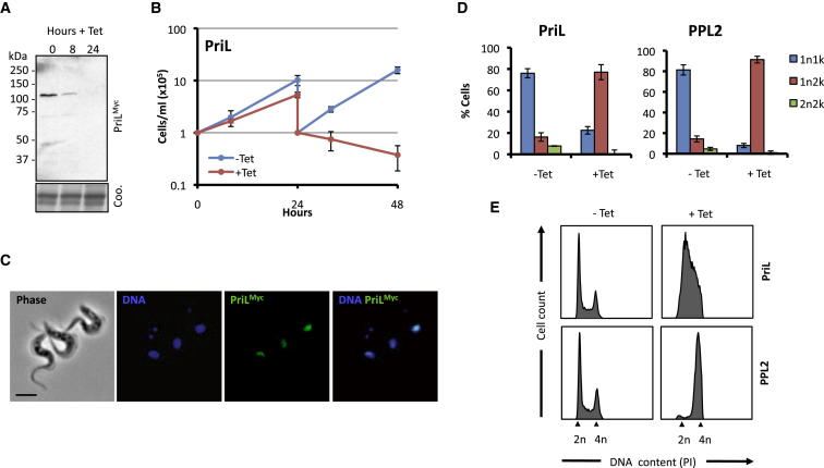 Figure 3