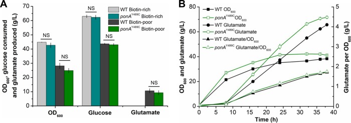 FIG 5