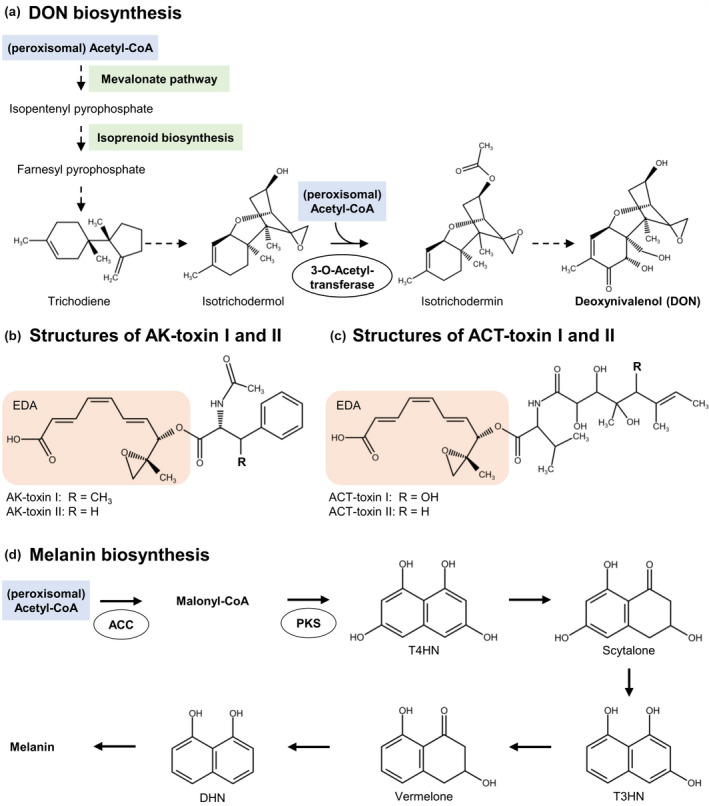 FIGURE 3