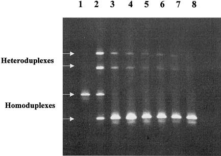 Figure  1