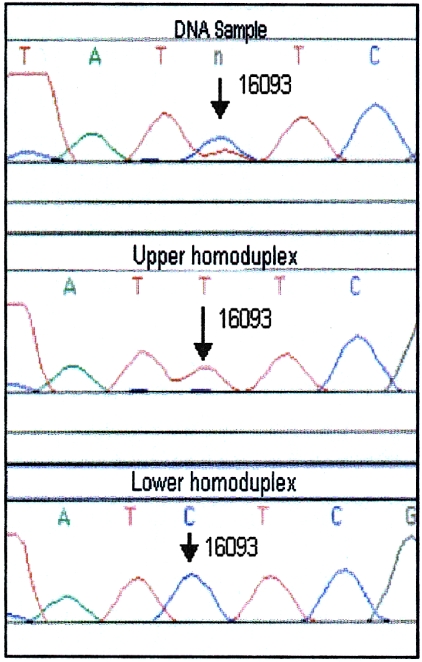 Figure  3