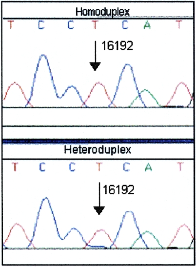 Figure  5