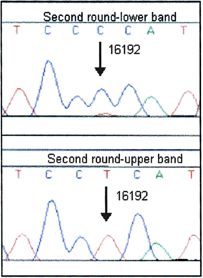 Figure  6