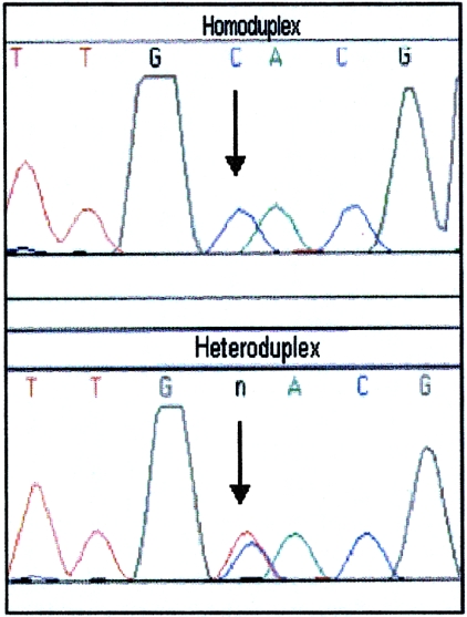 Figure  4