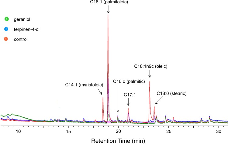 Fig 11