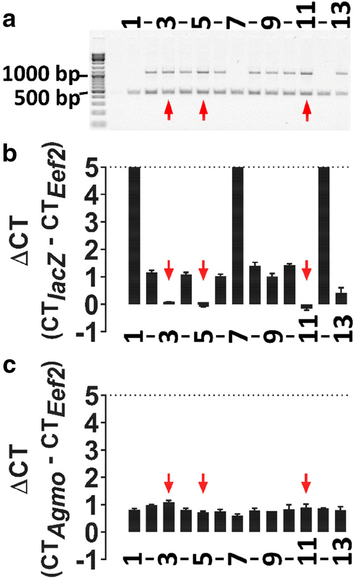 Fig. 2