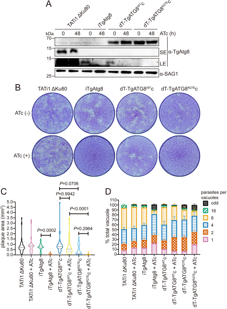 FIG 6