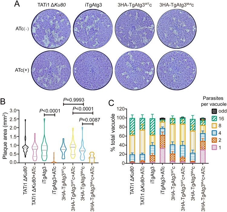 FIG 3