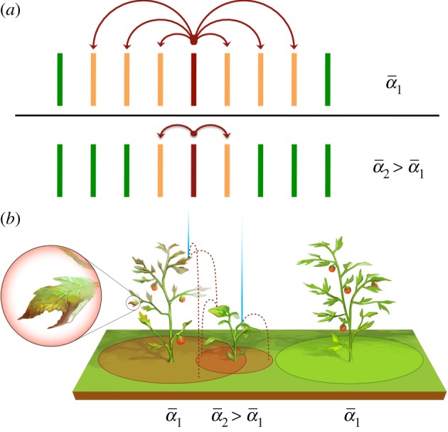 Figure 10.