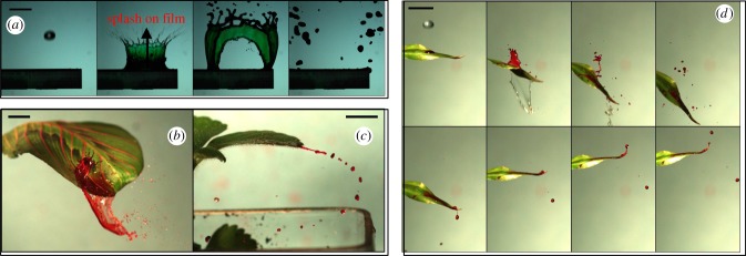 Figure 2.