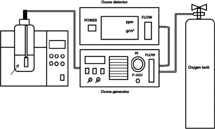 FIGURE 2