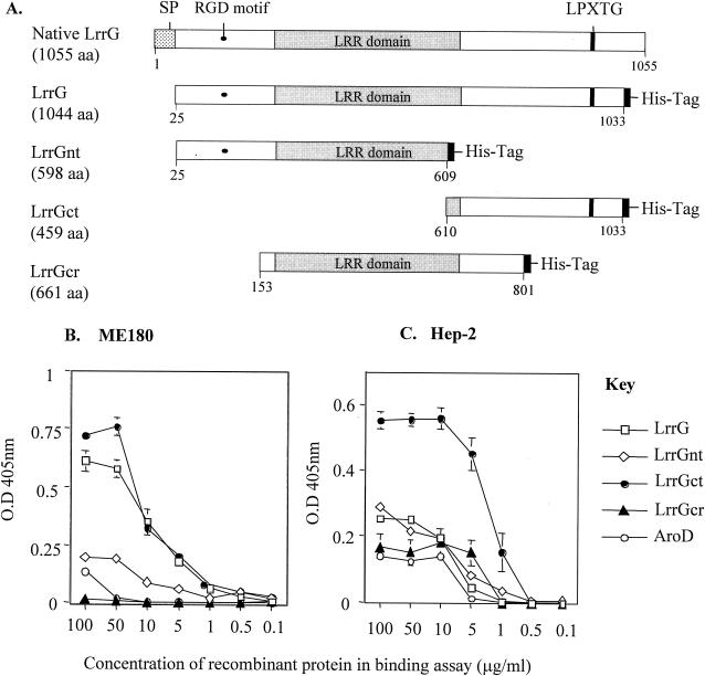 FIG. 7.