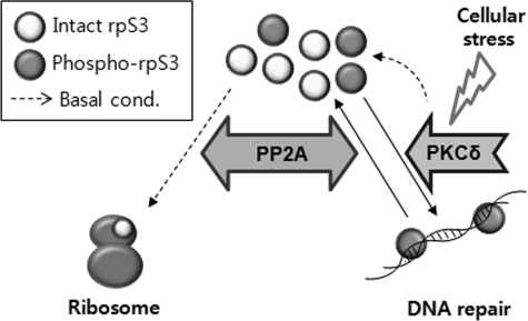 FIGURE 9.