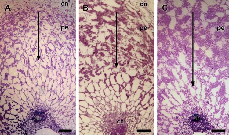 Fig. 6.