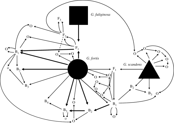 Figure 5.