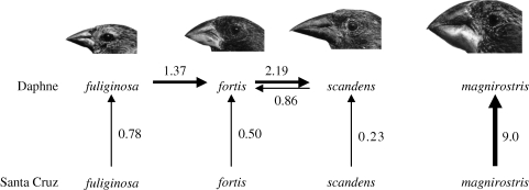 Figure 3.